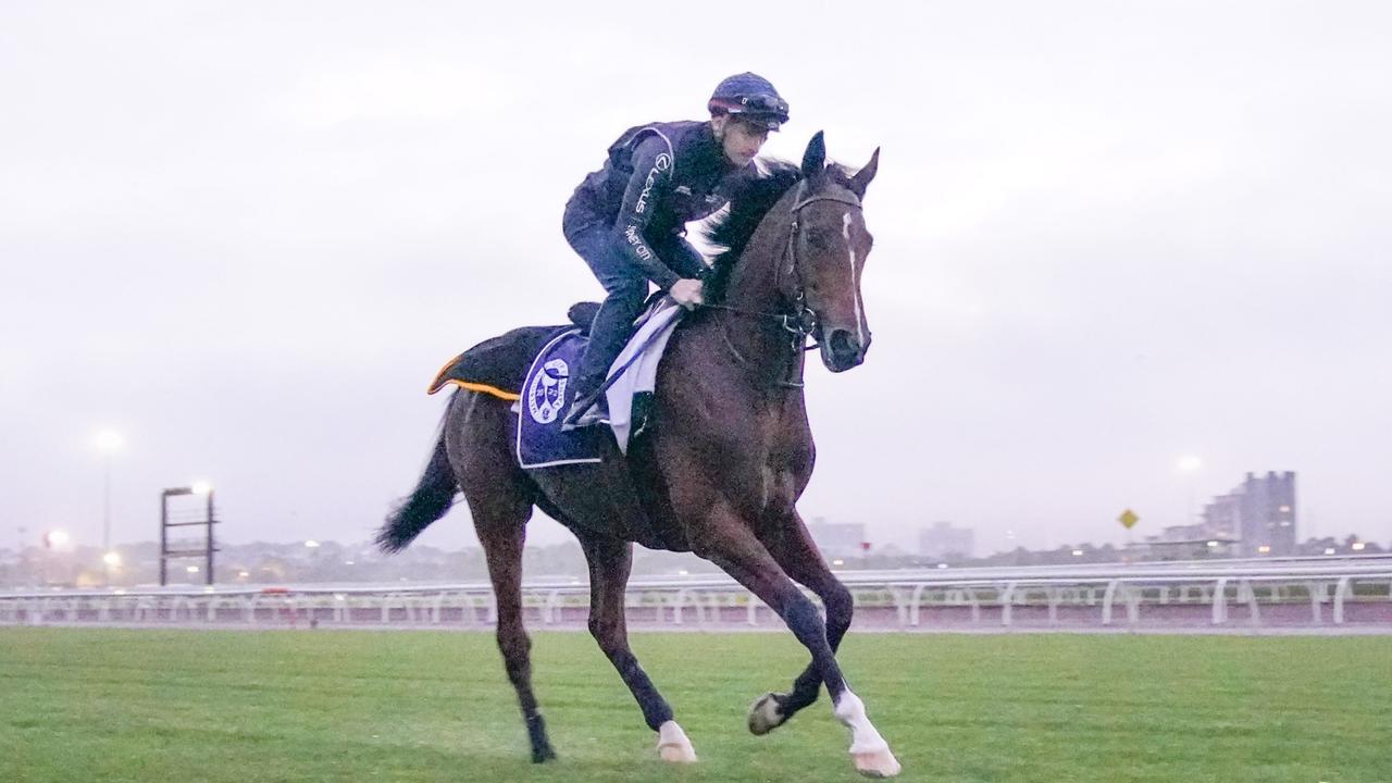 Melbourne Cup 2022 Loft scratched after Racing Victoria vet exam, full