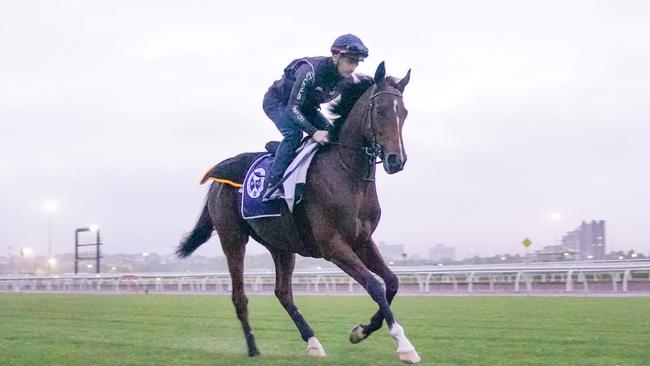 James McDonald rides Melbourne Cup hopeful Loft. Photo by Scott Barbour/Racing Photos via Getty Images.