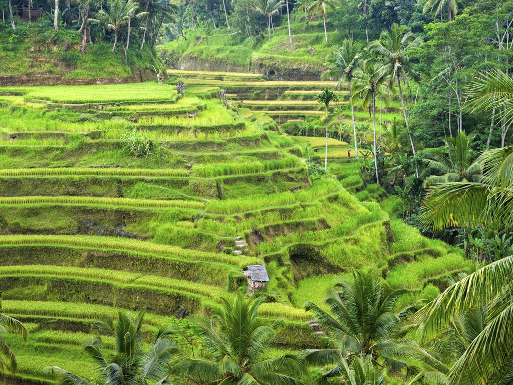 When it comes to trekking in Bali, the dry season is a much more comfortable time to do it. Picture: Thinkstock