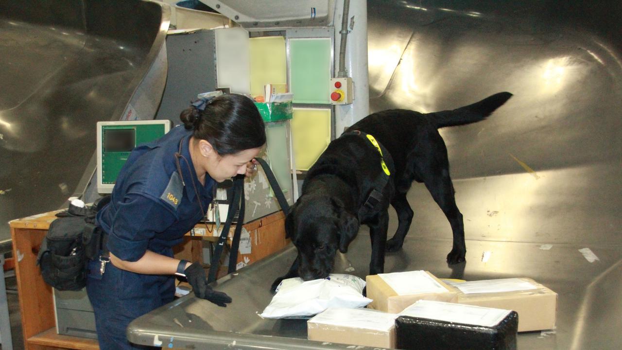 Australian Border Force also uses dogs to detect illegal items.