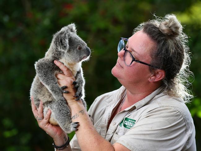 Currumbin Wildlife Sanctuary's Sarah Eccleston with brother Merlin (pictured) and Roughy who were due to start meeting guests at the park but because of Covid19 that's delayed so Sarah has been giving them plenty of cuddles. (Must ring Jayme Cutriss on 0499993788 for story details). Pics Adam Head