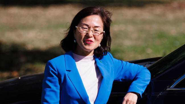 Chisholm MP Gladys Liu. Picture: Jason Edwards