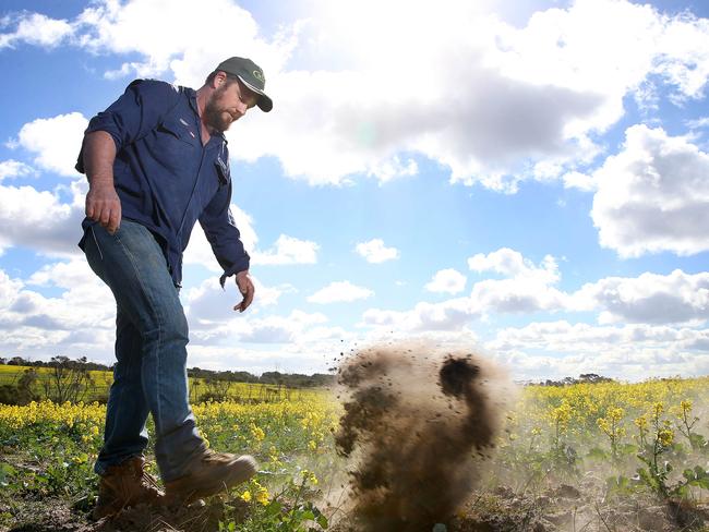 Giffard West farmer Trent Anderson. Picture: Andy Rogers