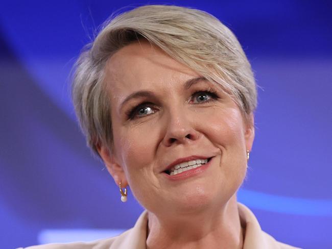 CANBERRA, AUSTRALIANewsWire Photos 19 July, 2022: Tanya Plibersek, the Minister for the Environment and Water, and the Federal Member for Sydney spoke at the National Press Club of Australia, for her State of Environment Address.Picture: NCA NewsWire / Gary Ramage