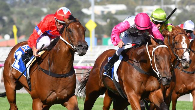 Punters have launched into Secret Agenda, left, to win the William Reid Stakes. Picture: Getty Images