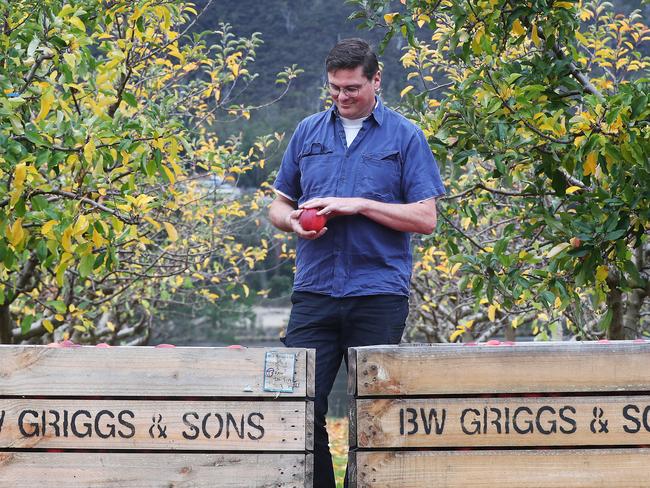 Dane Griggs who runs BW Griggs &amp; Sons in Huonville with his brother Brett. Picture: NIKKI DAVIS-JONES