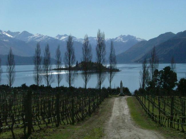 T2 Curious Rippon Winery, New Zealand Pic by Heather Scott, single use only