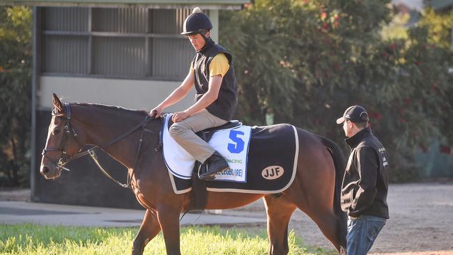 James Ferguson watches Deauville Legend at Werribee. Picture: Racing Photos via Getty Images