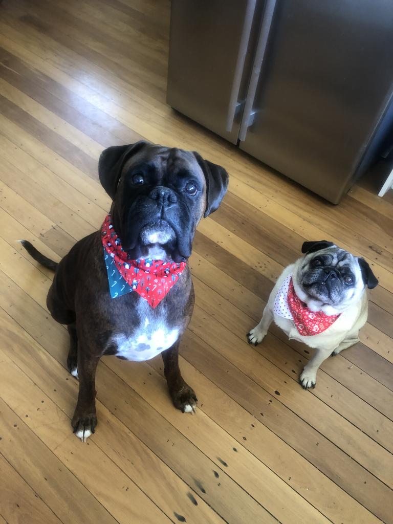 Charlie &amp; Toby Beresford – This precious little duo of best friends love to do everything together. Charlie is very gentle boy, loves to play and has a very unique personality. Toby is a very cheeky boy who loves sharing popcorn on the couch, drives in the car and outdoor adventures.