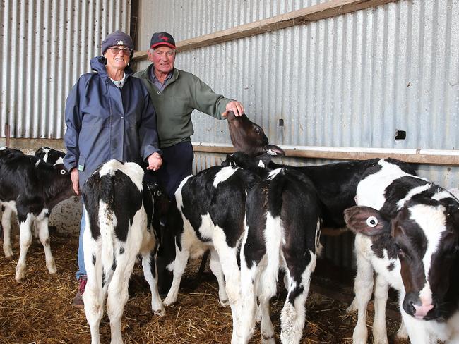 Dixie dairy farmers Daryl and Val Crawford. Picture Yuri Kouzmin