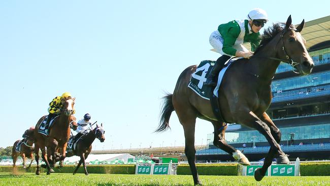 Star filly Enthaar has been sent for a spell. Picture: Getty Images