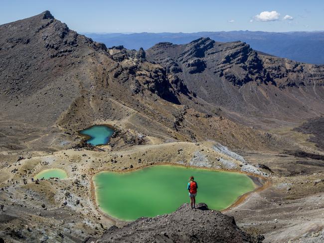 Wielga had been visiting the Tongariro National Park. Picture: Camilla Rutherford