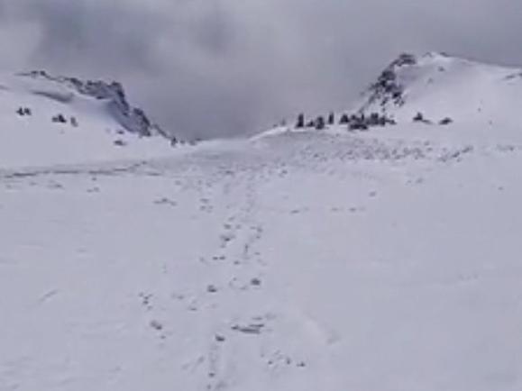 Picture: Viral Hog JAW-DROPPING footage shows the moment a skier triggered a huge avalanche in Canada. According to The Sun, the incident happened when the man was skiing on Mount Lipallian in the Lake Louise Banff National Park, Alberta.