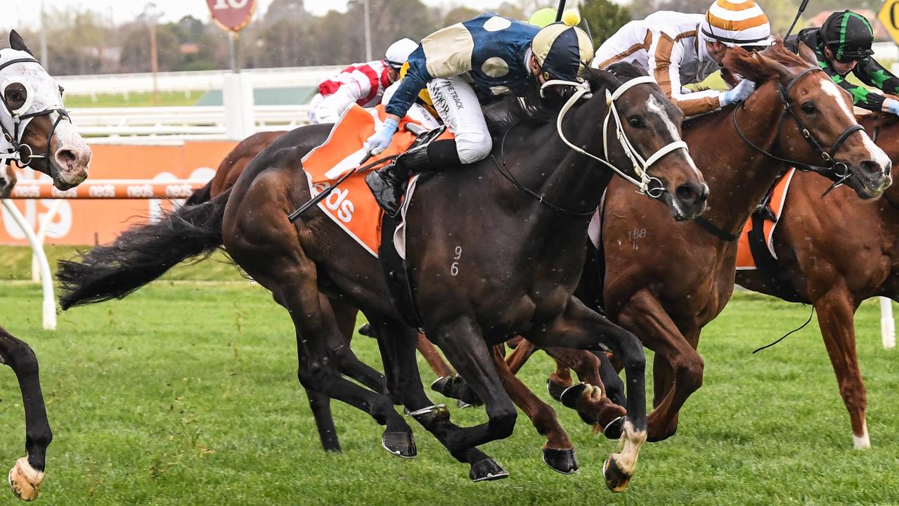 Neds Sir Rupert Clarke Stakes