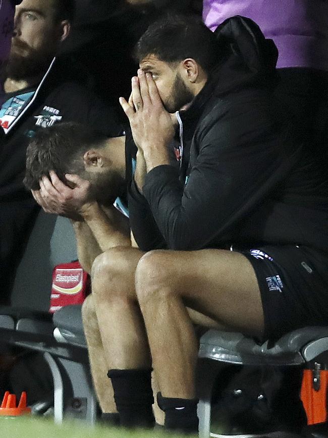 Sam Gray and Paddy Ryder after the siren. Picture: Sarah Reed