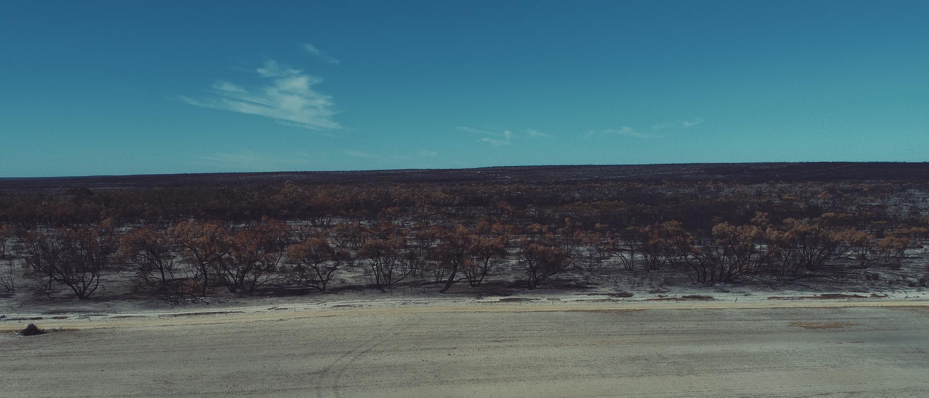 The Little Desert National Park fire. Picture: Supplied