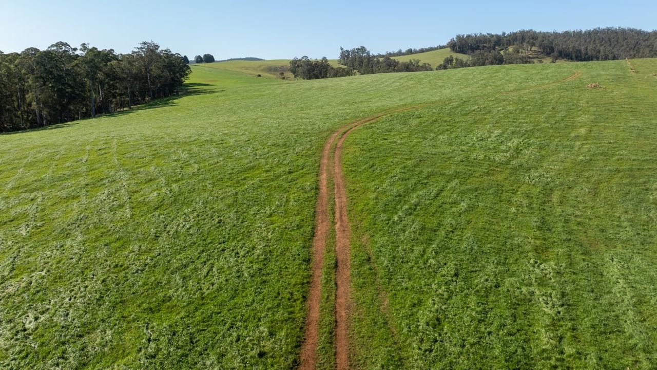 Jamberoo is rated to carry in excess of 25,000 dry sheep equivalents.