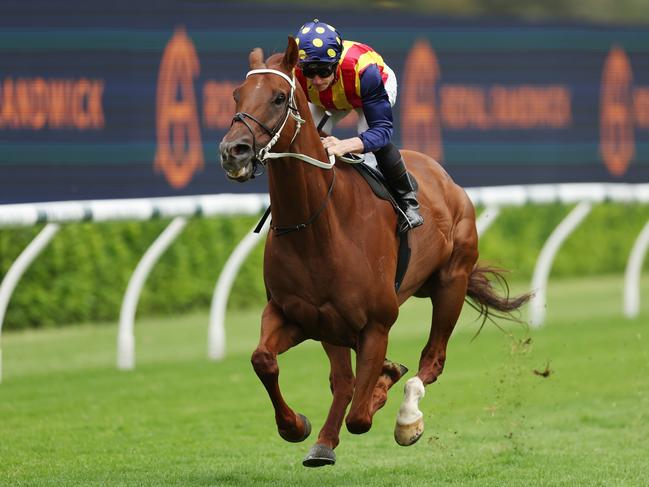 SYDNEY, AUSTRALIA - MARCH 22: James McDonald rides Nature Strip during an exhibition gallop during Sydney Racing at Royal Randwick Racecourse on March 22, 2023 in Sydney, Australia. (Photo by Mark Metcalfe/Getty Images)