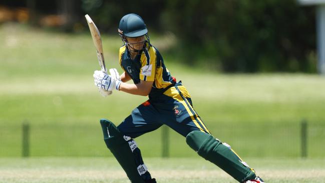 Wests v Newcastle City in the semi-final of the 2024 SG Moore Cup cricket competition at Harker Oval. Picture: Michael Gorton