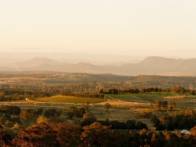 Most of the vineyards that go up for sale Hunter Valley area available for less than $5 million.