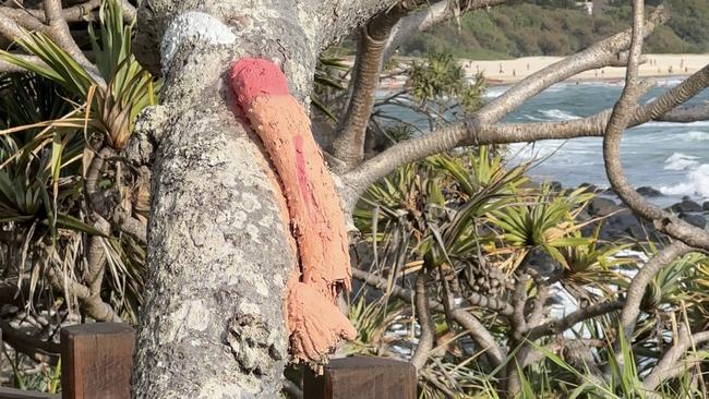 Vulgar vandals have targeted Burleigh Heads National Park’s Oceanview walk.