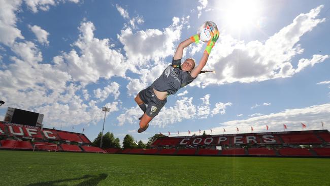 Matildas and Adelaide United goalkeeper Sarah Willacy at Hindmarsh Stadium which is the perfect recognised international FIFA standard. A rarity in SA. Picture: Tait Schmaal