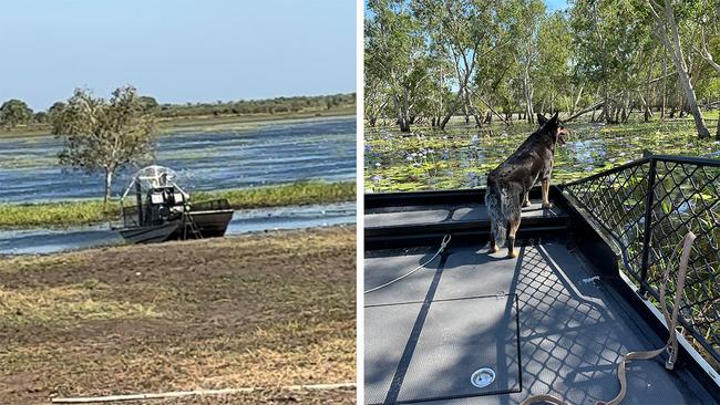 Up near Darwin there's also a gin foraging tour you can do at Finniss River Lodge, where you pick your own native botanicals and make your own gin. Pictures: James Booth