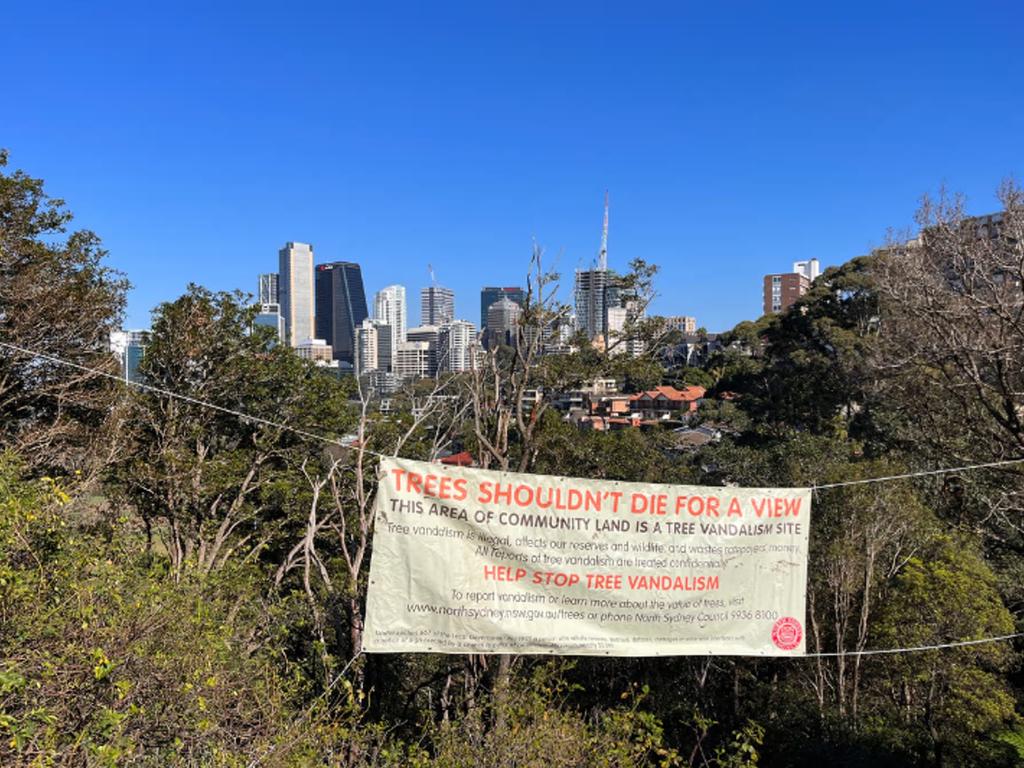 Councils have warned they lack resources to go after tree vandals. Picture: Supplied