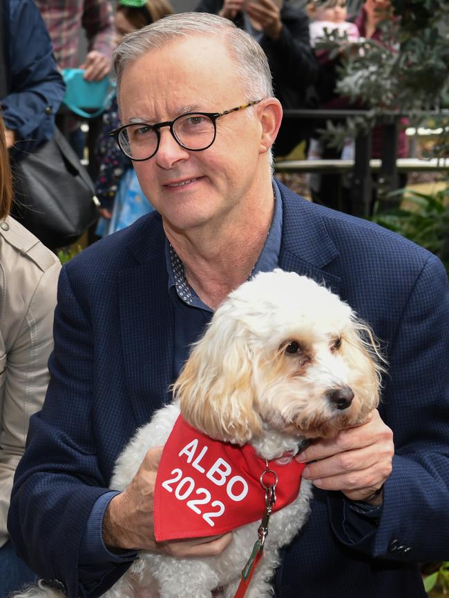 Albanese holds his dog Toto. Picture: Getty Images