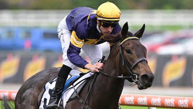 Coeur Volante firmed for the Thousand Guineas after her Prelude win. Picture: Vince Caligiuri/Getty Images