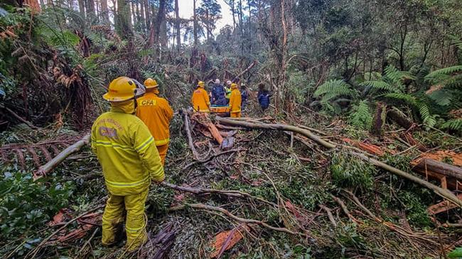 Emergency workers had to cut their way into the forest for the rescue.