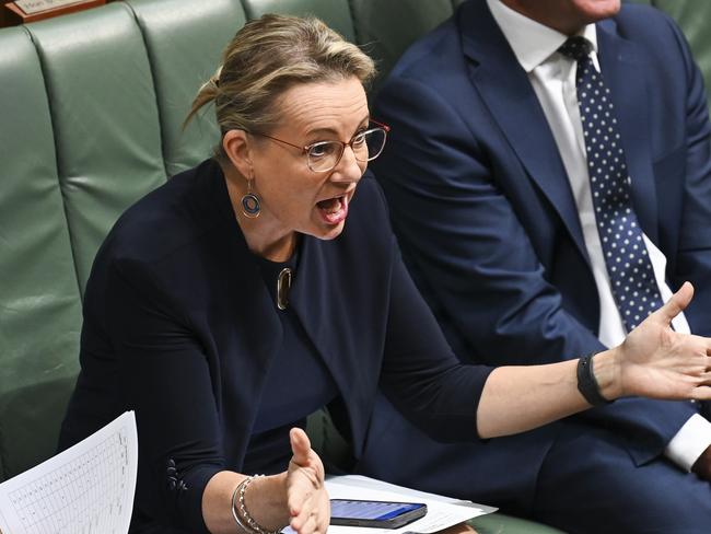 Deputy Liberal leader Sussan Ley attacks the Albanese government in Question Time. Picture: Martin Ollman (NCA NewsWire)