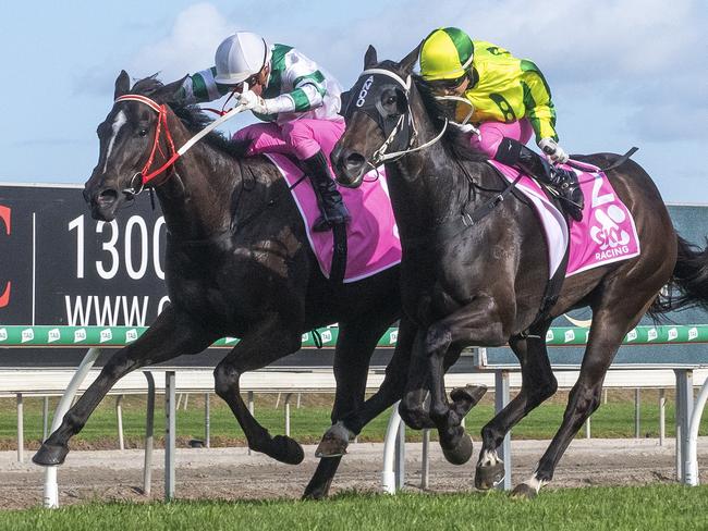 Epic Girl (right) beats Kisukano at Gold Coast Turf Club on September 19. Picture: Greg Irvine/Magic Millions