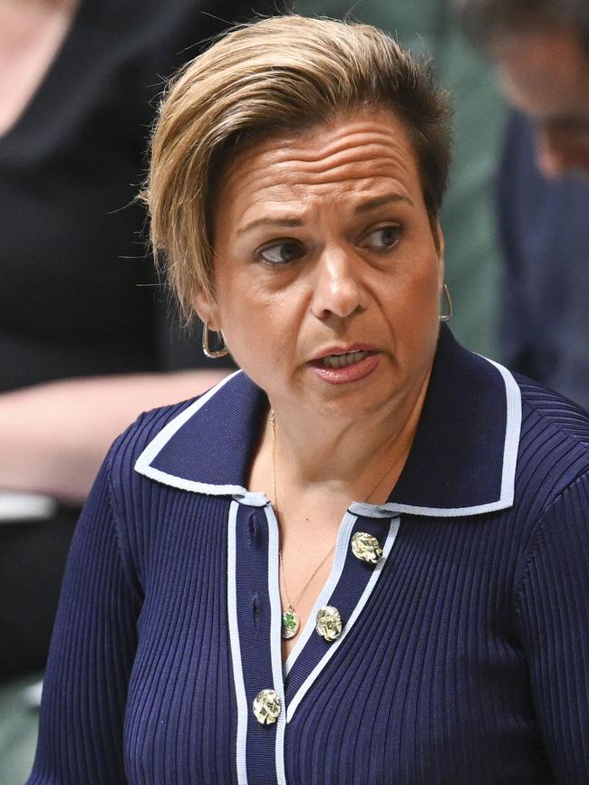 Communications Minister Michelle Rowland. Picture: NCA NewsWire / Martin Ollman