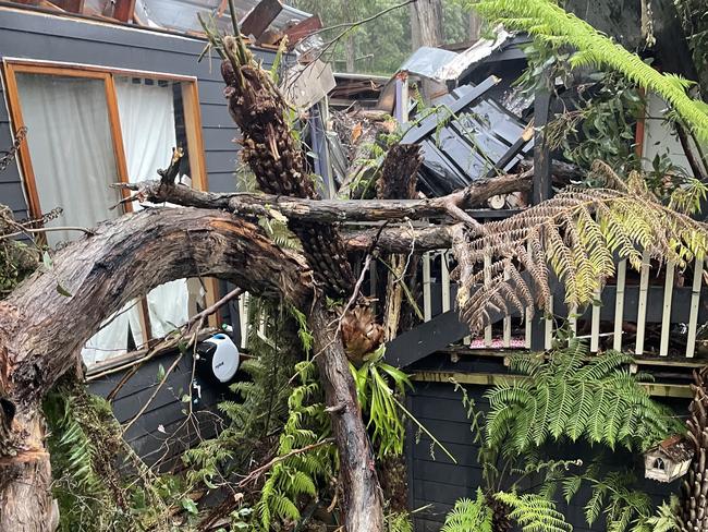 A tree crashed through the roof of a Cockatoo home, missing the occupant by just inches.