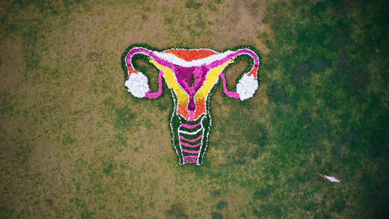 Bayer opened Australia’s first interactive women’s health in Toowoomba's Civic Square on Saturday as part of the Toowoomba Carnival of Flowers to encourage women to take control of their reproductive health. Picture: Supplied