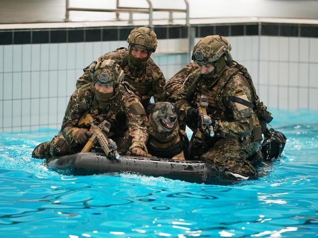 Members of the Kommando Spezialkraefte military special forces unit demonstrate how they train dogs for water operations in Germany. Picture: Thomas Niedermueller/Getty Images