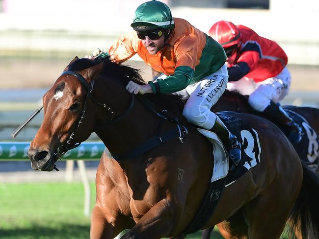 Roman Aureus wins at Doomben