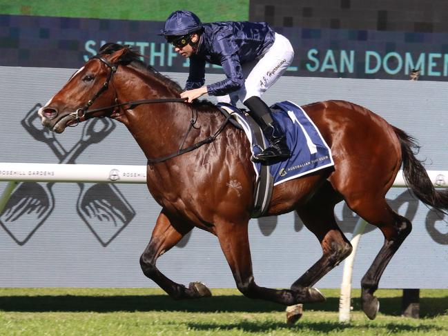 Storm Boy winning the San Domenico takes at Rosehill on August 31. Picture: Grant Guy