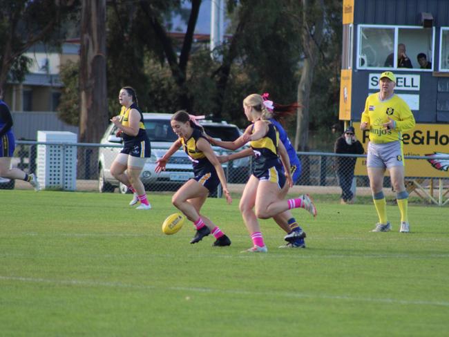 SFLW Community League - Action from Sorell v St Virgils during the annual Pink Sock-Carolyn Birch Memorial Match. Picture: Jake Garland