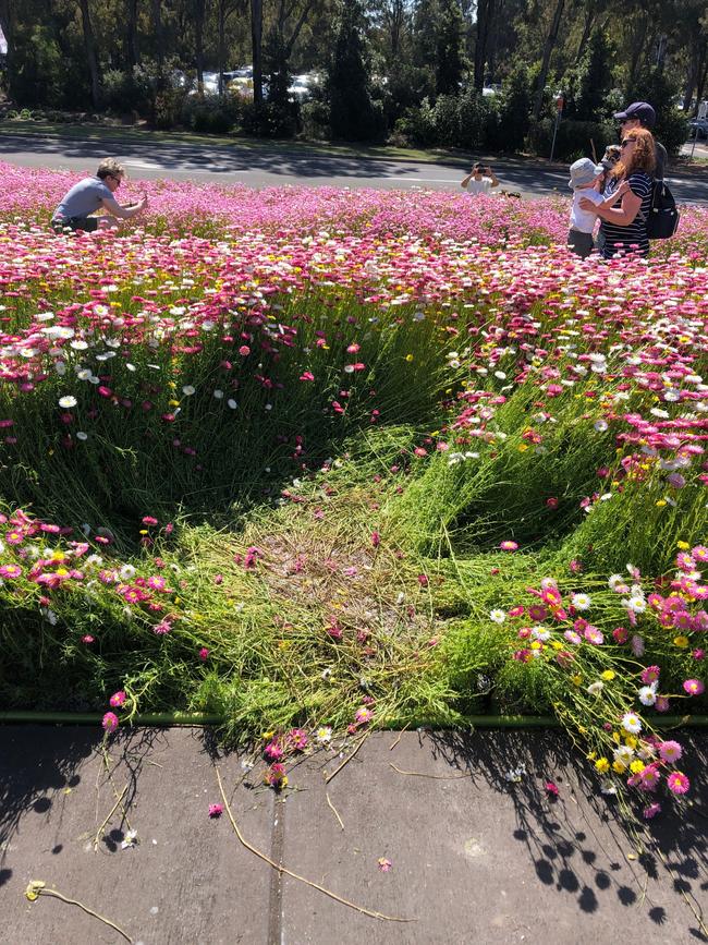 Selfish selfies have trashed parts of The Australian Botanic Garden.