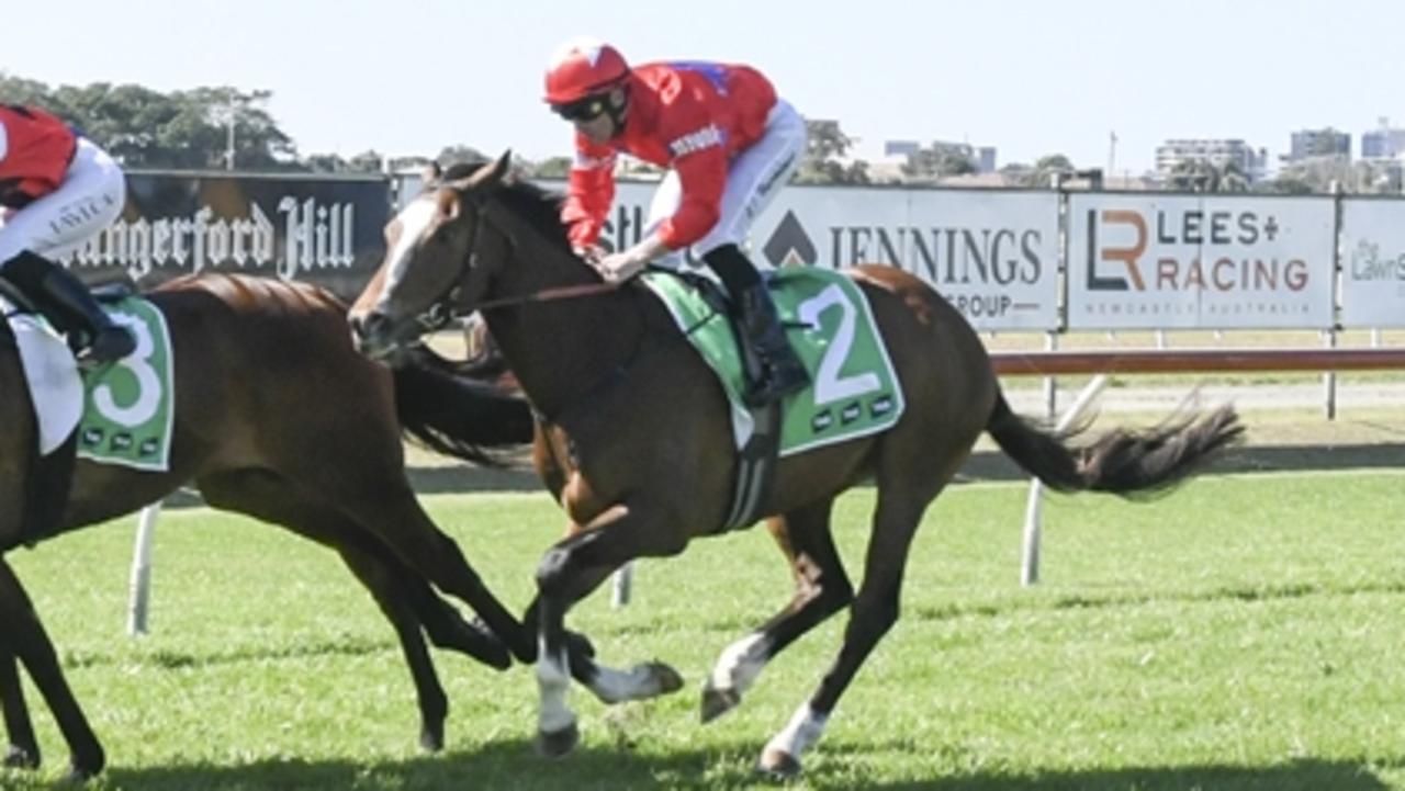 Kembla preview: Kazotsky ready to kick up his heels with a win