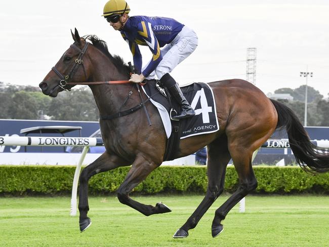 Invade and Conquer for Wyong preview