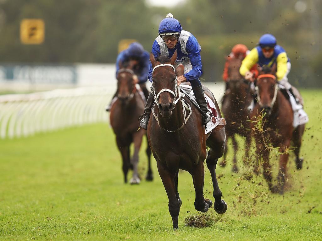 Hugh Bowman riding Winx leads the field in Race 5.