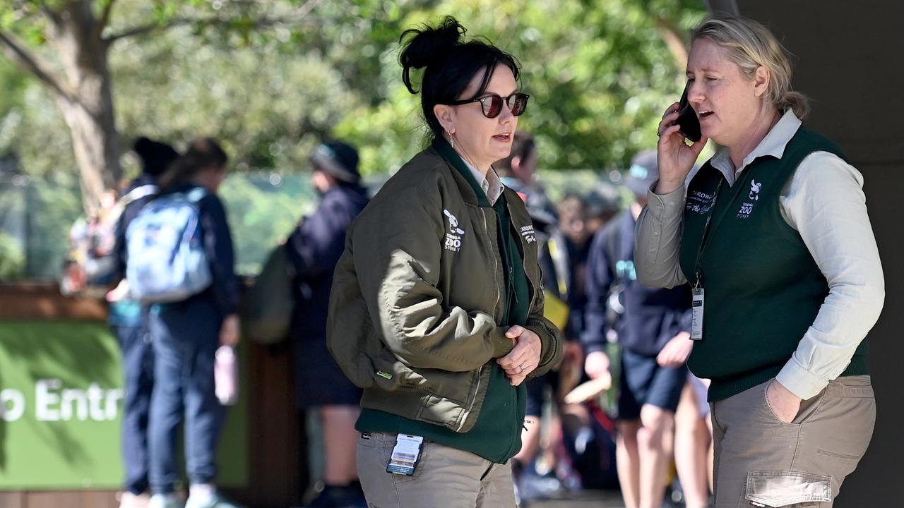 The Taronga Zoo director praised zoo staff for their quick reactions in an emergency. Picture: NCA NewsWire / Jeremy Piper