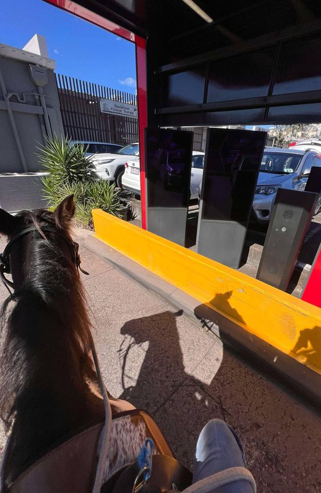 Horses at Coolum Maccas