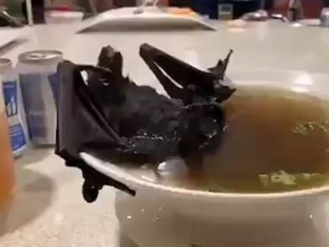 Bat soup in China. Picture: Youtube