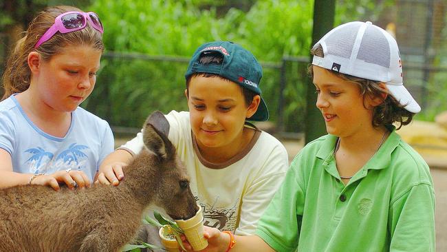 Tilly and Barney Sheargold with their cousin Dominic Byrne at Featherdale Wildlife Park on January 17, 2006. Picture: Mike Szabath