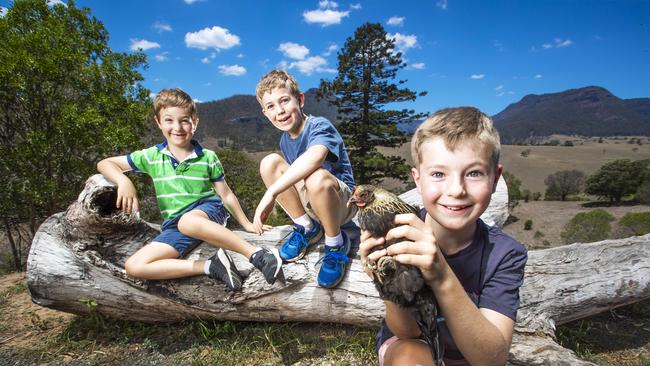 (From left) Teddy Overell, 6, with his brothers, Patrick, 8, and Aidan, 10, at Worendo Cottages in the Scenic Rim. Picture: Nigel Hallett