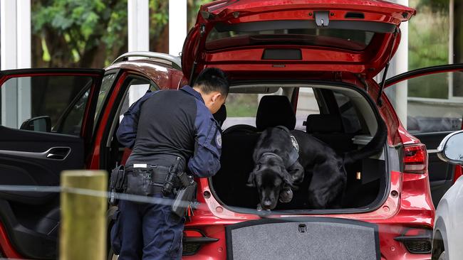 Technology detecting dogs search the car of Erin Patterson on Thursday. Picture: NCA NewsWire / Ian Currie